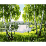 Landscape Framed Pictures DIY Painting By Numbers Wall Art Acrylic Painting