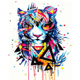 Colorful Owl Framed Pictures DIY Painting