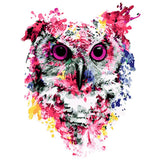 Colorful Owl Framed Pictures DIY Painting