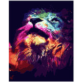 Colorful Owl Framed Pictures DIY Painting