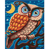 Colorful Owl Framed Pictures DIY Painting