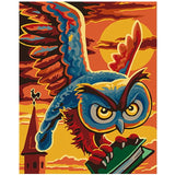 Colorful Owl Framed Pictures DIY Painting