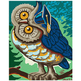 Colorful Owl Framed Pictures DIY Painting