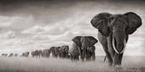 Black Africa Elephants Wild Animals Canvas Painting Scandinavia Posters